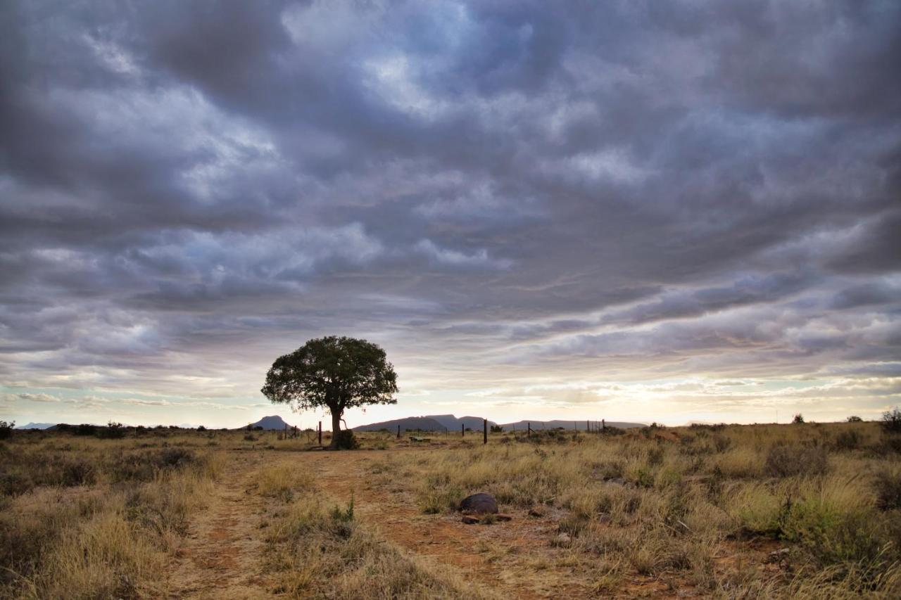 Sunbird Cottage Graaff Reinet Luaran gambar